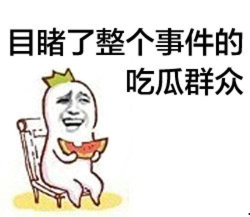 娱乐圈吃瓜群众的简介,揭秘明星幕后故事与八卦风云