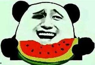 为什么说娱乐圈吃瓜群众